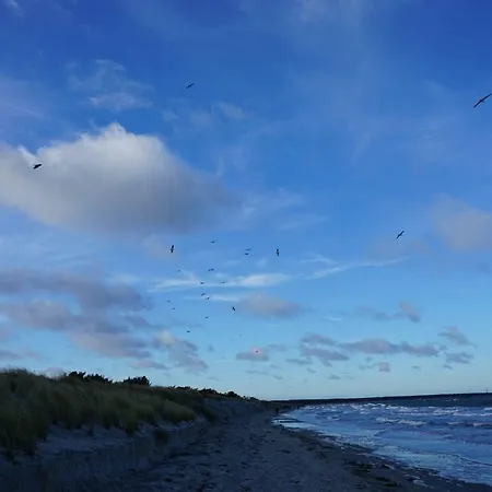 Haus Am Deich 아파트 *